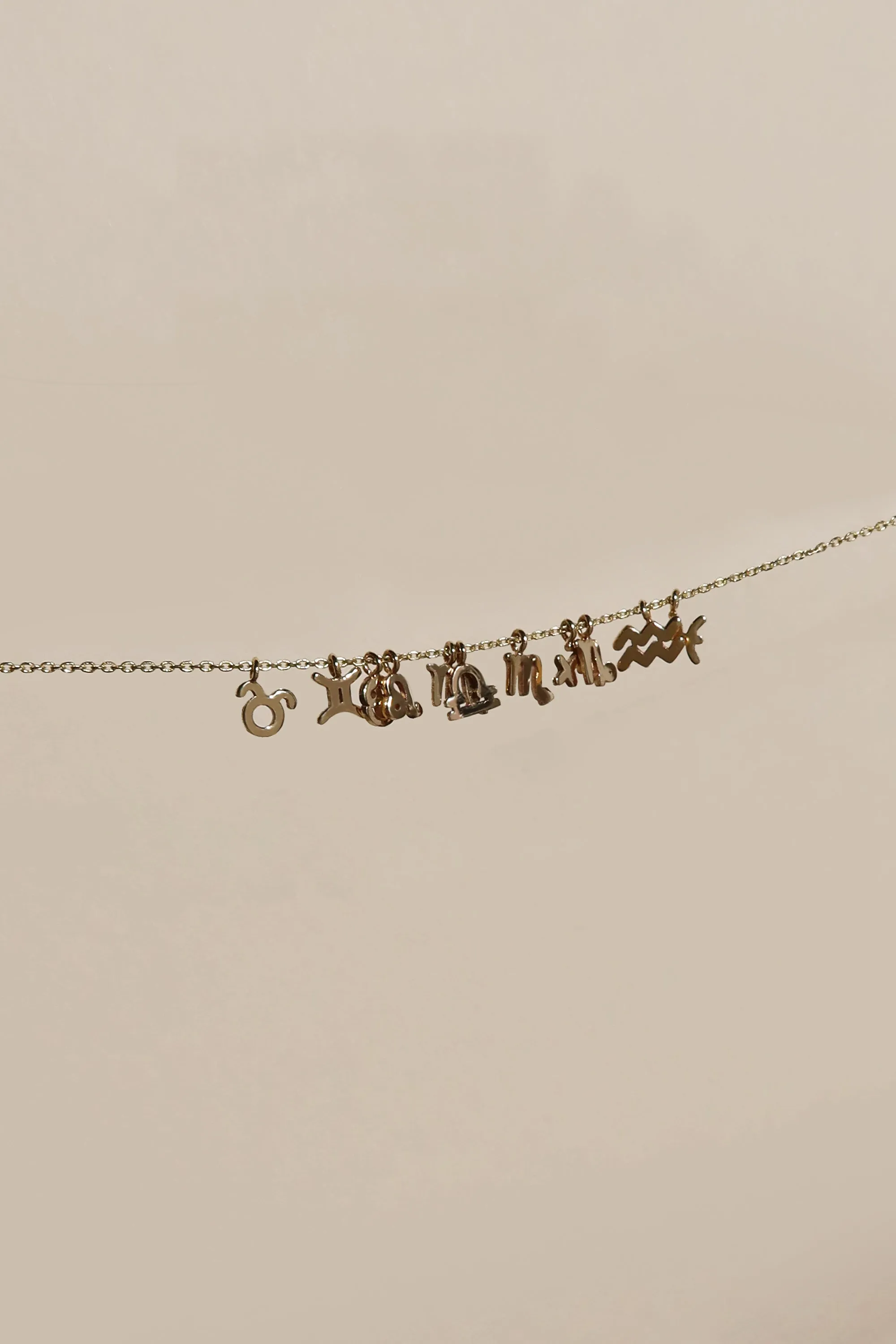 PETITE CAPRICORN ZODIAC NECKLACE
